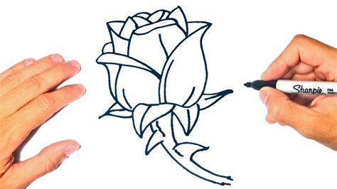 dibujo de una rosa|dibujo de rosa facil.